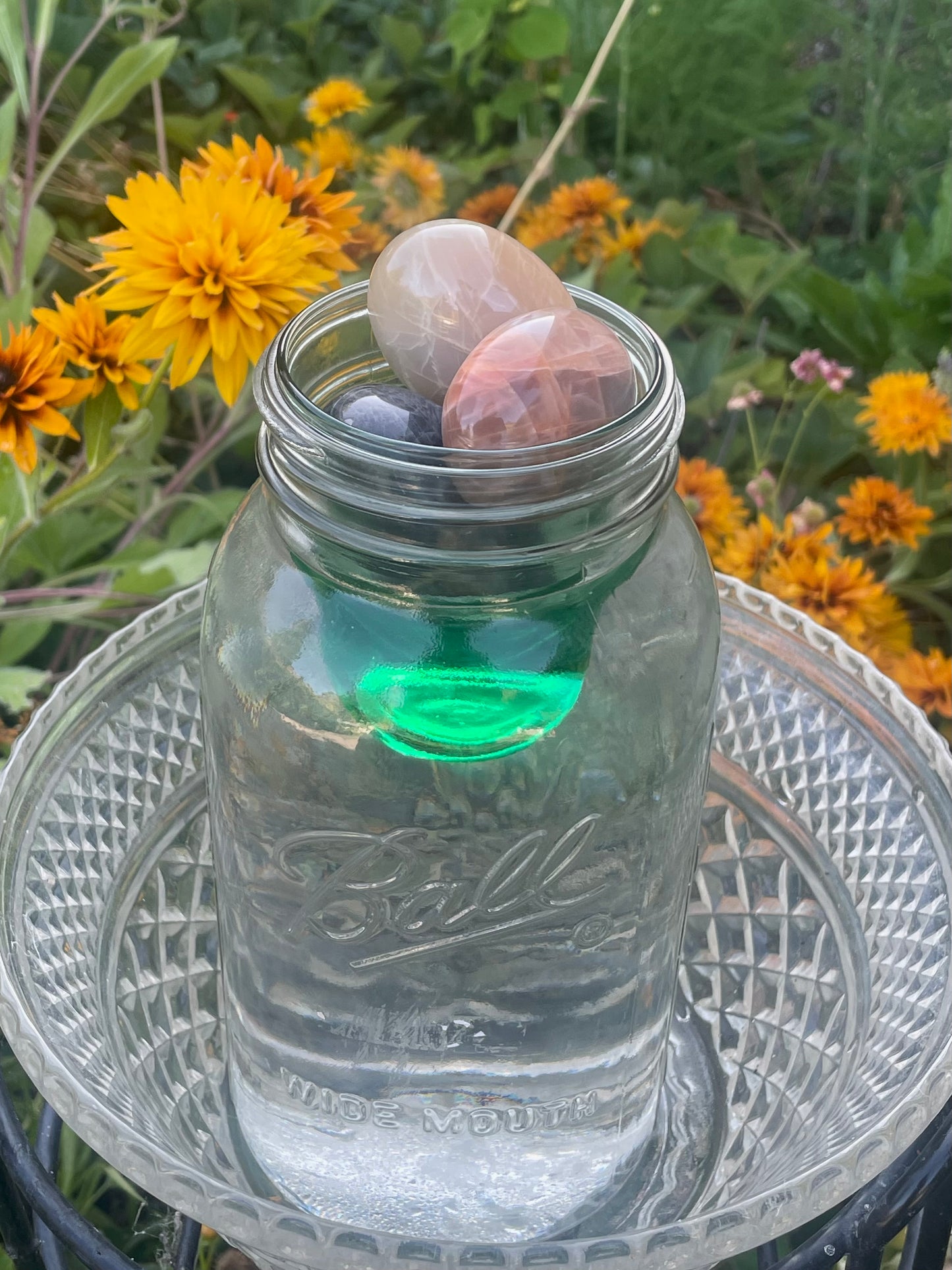 Artemis Mist✨