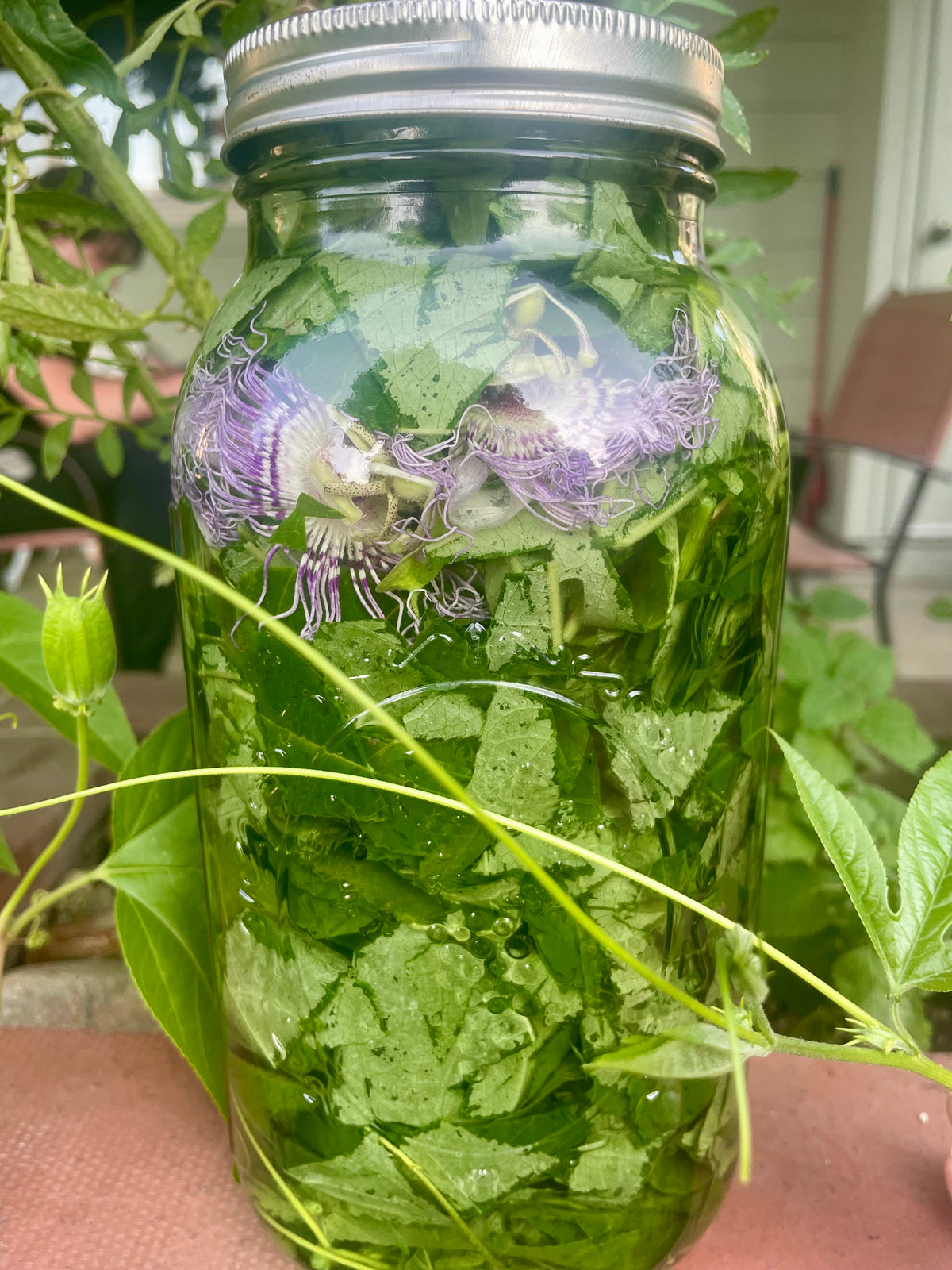 Passionflower Tincture