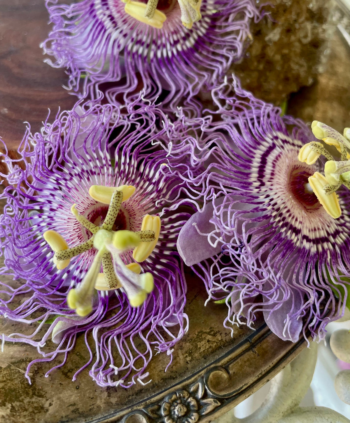 Passionflower Tincture